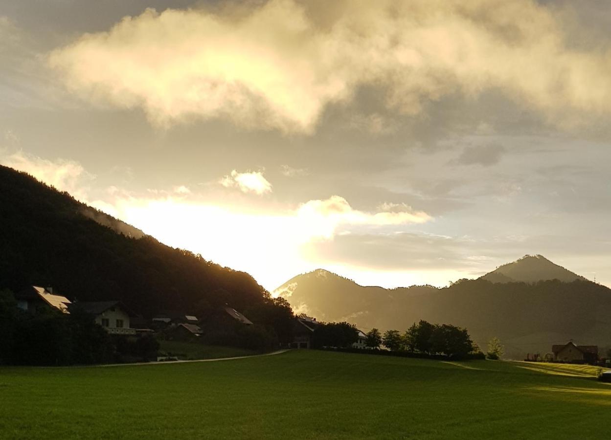 Bed and Breakfast Hof Zur Steinwaend à Micheldorf in Oberösterreich Extérieur photo